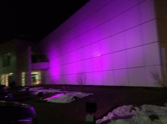 Purple wall, purple wall